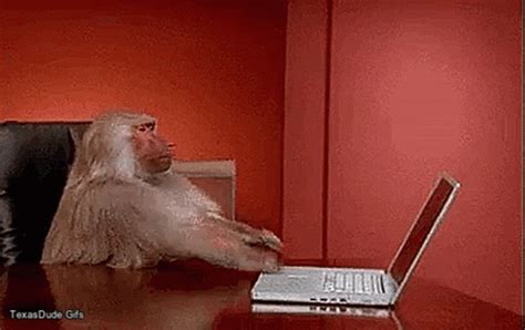 angry-monkey gif|angry monkey computer gif.